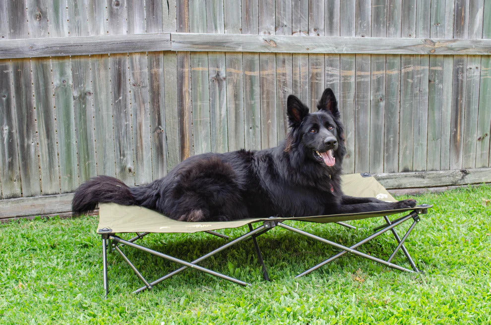Outdoor Connection Dog Bed XL