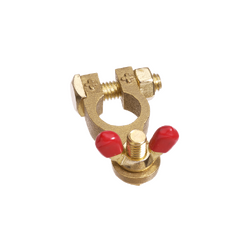 Projecta Wingnut Brass Battery Positive Terminal