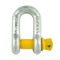 D SHACKLE 12MM 2T RATED YELLOW