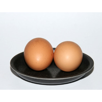 EGG COOKERS