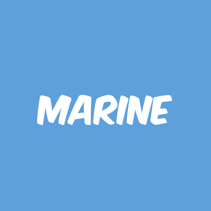 Boxing Day Sale Marine image