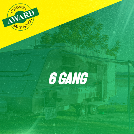 6 Gang