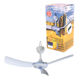 Fantastic 12V Ceiling Fan