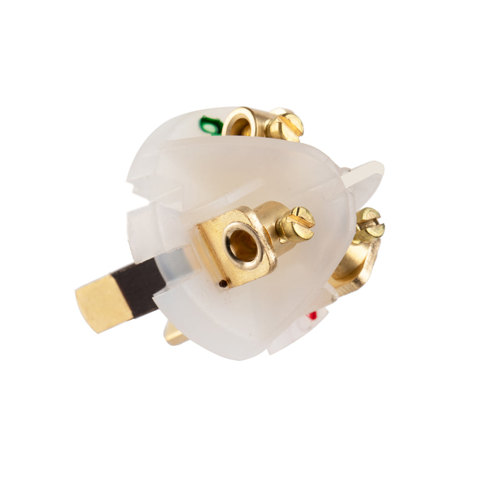 10 Amp Plug