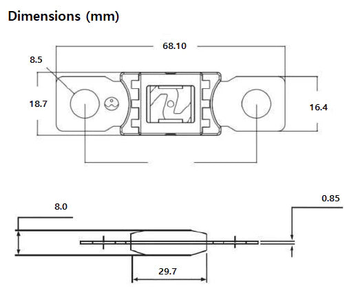 Exotronic 125A Mega/AMG/ANM Fuse